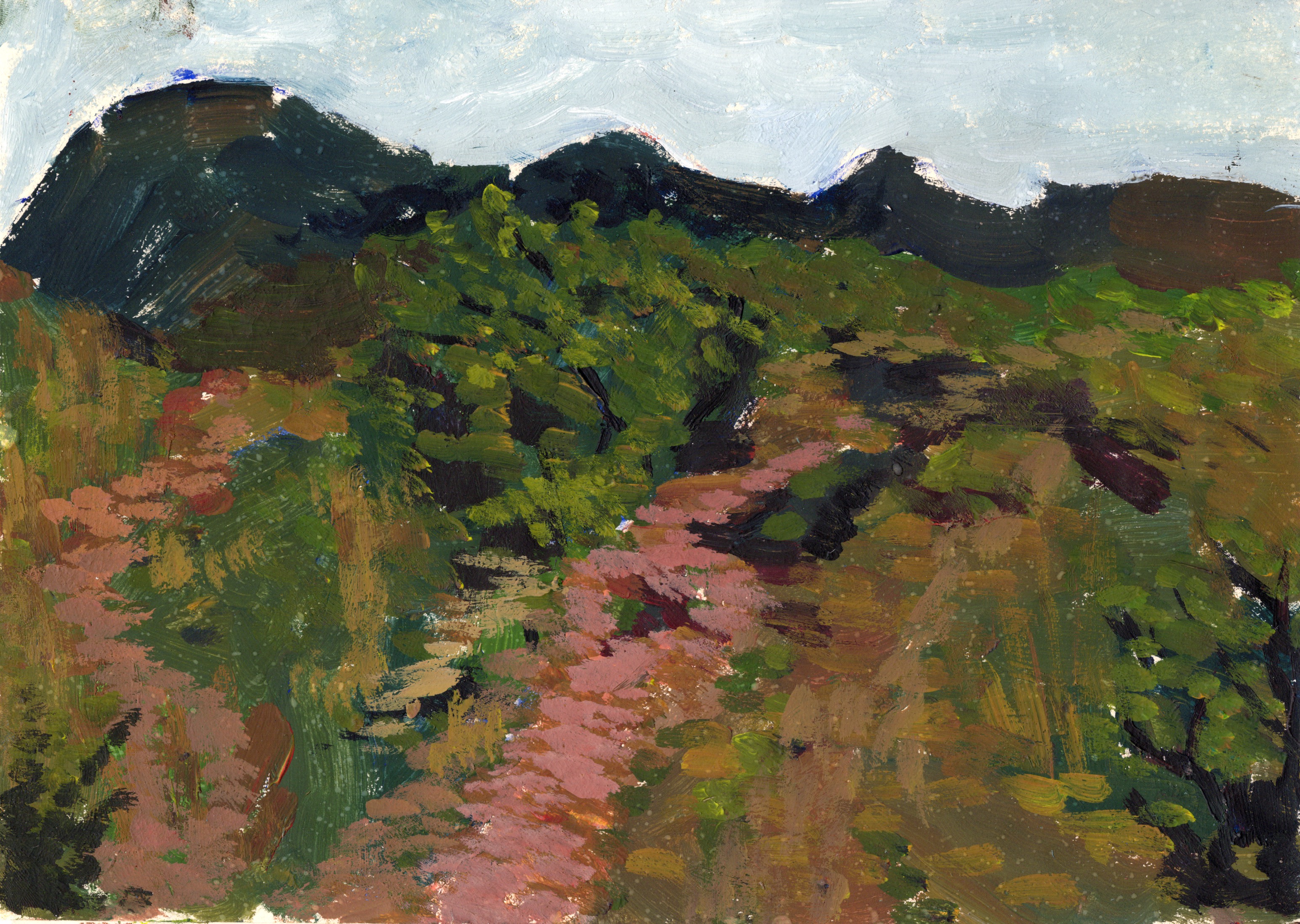 Quick paintings on the way to the mountain